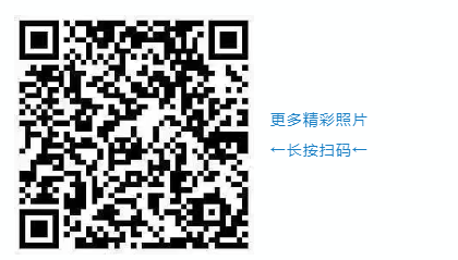 1741058247798679.png image.png